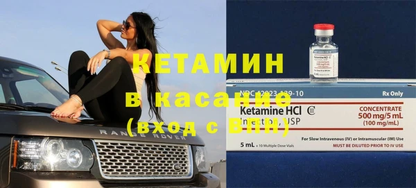 сатива Новодвинск