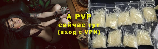 эйфоретик Новокубанск