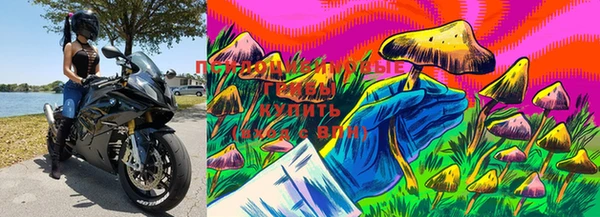 стафф Няндома