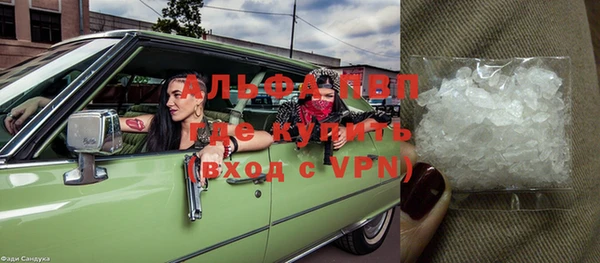 сатива Новодвинск