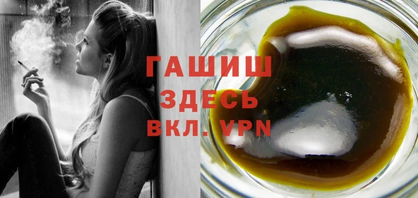 сатива Новодвинск