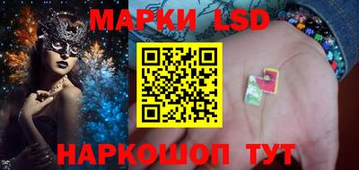 шишки Заволжье