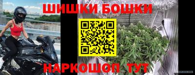 шишки Заволжье