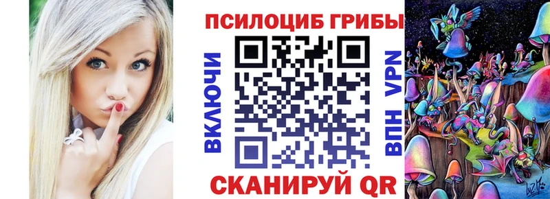 как найти   Лесозаводск  Галлюциногенные грибы мухоморы 