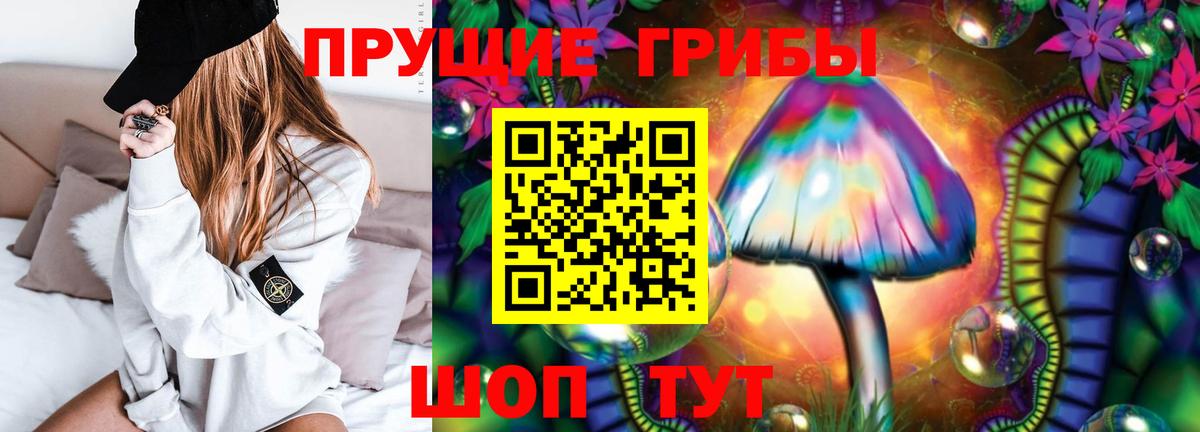 Лесозаводск  Галлюциногенные грибы GOLDEN TEACHER  Вход с VPN 