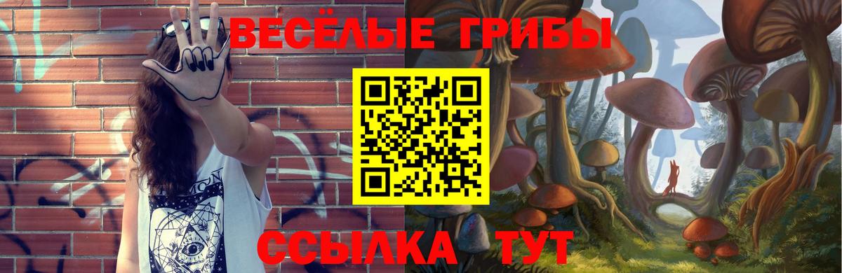 Галлюциногенные грибы прущие грибы Лесозаводск