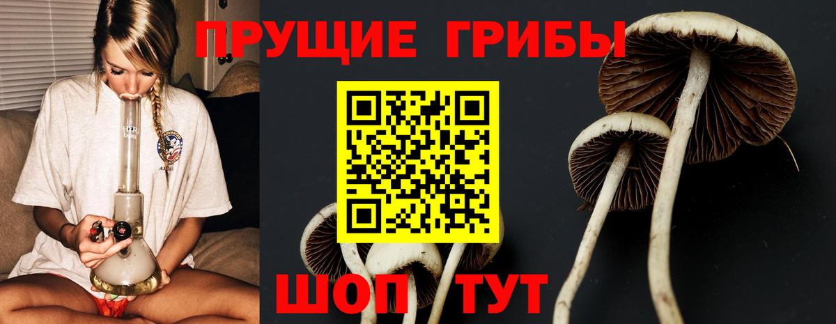 Галлюциногенные грибы мицелий  Лесозаводск  Псилоцибиновые грибы прущие грибы 